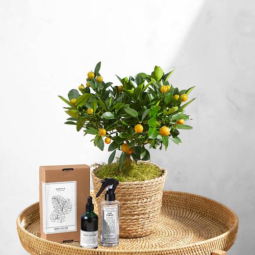 The Plant Lover's Pick