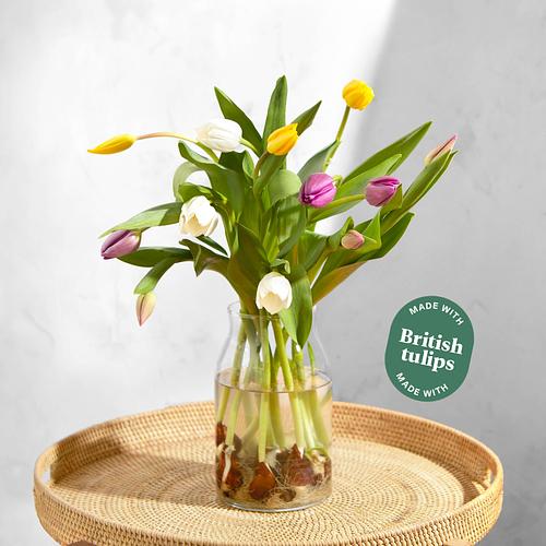 The Letterbox British Tulips