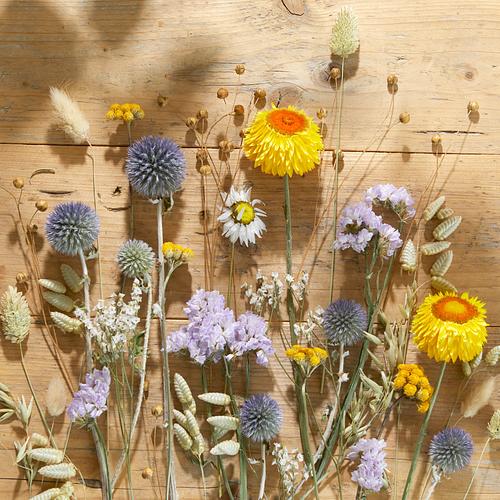 The Dried Flower Sculpd Kit