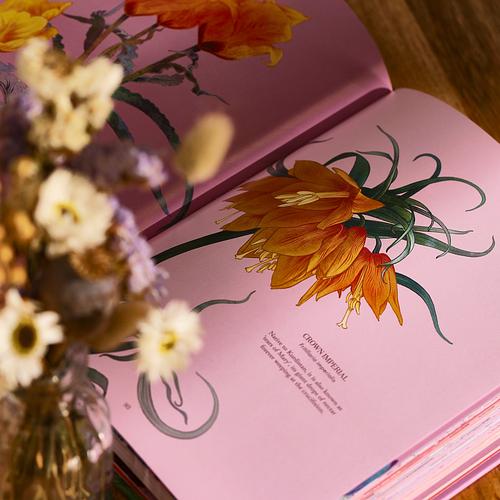 The Illustrated Petal Book & Dried Posy
