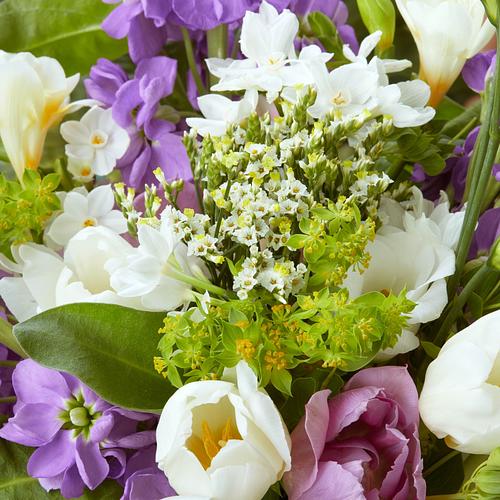 6 Months of Statement Letterbox Flowers