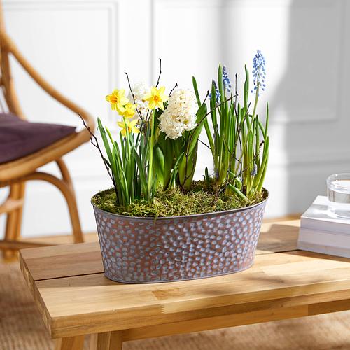 The Wild Spring Planter