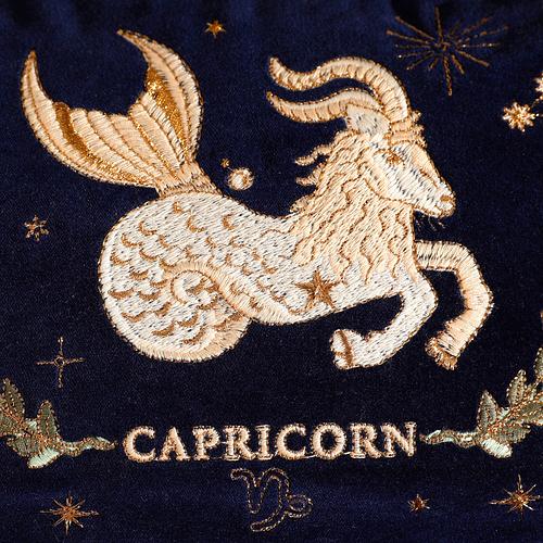 The Capricorn Star Sign Pouch by Elizabeth Scarlett