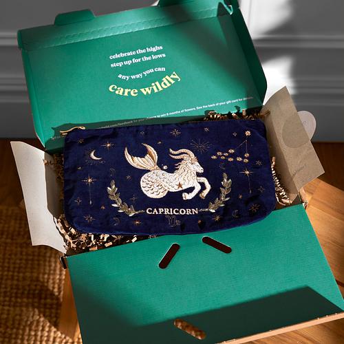 The Capricorn Star Sign Pouch by Elizabeth Scarlett 4 The Capricorn Star Sign Pouch by Elizabeth Scarlett