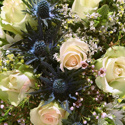 Our Florist's Pick