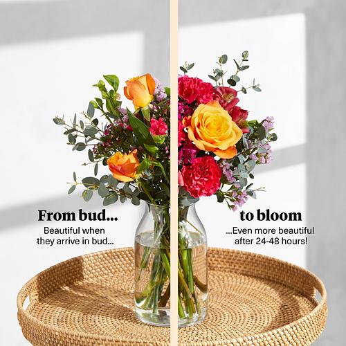 The Jade & Pine Letterbox Vase
