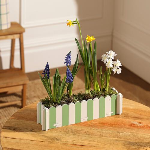 The Spring Bulbs Windowsill Planter