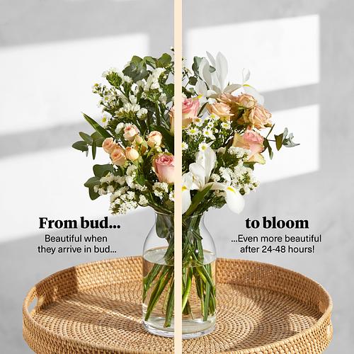 The Anita & Green Ripple Vase