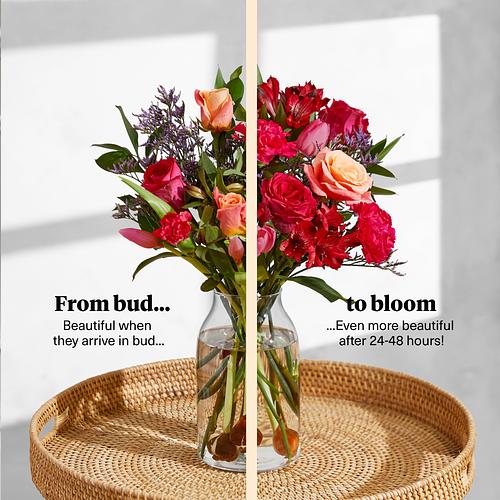 Our Florist's Pick