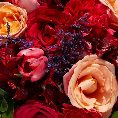 Our Florist's Pick 3 Our Florist's Pick
