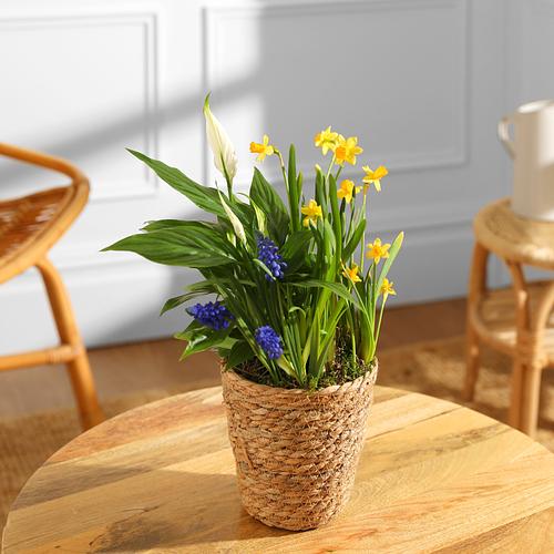 The Spring Garden Basket