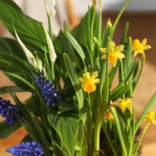 The Spring Garden Basket
