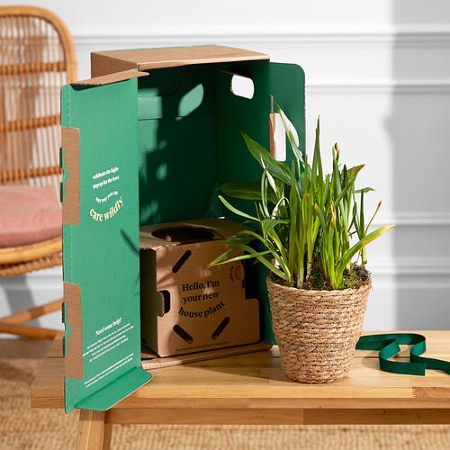 The Spring Garden Basket