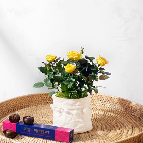 The Letterbox Indulgent Rose Bundle