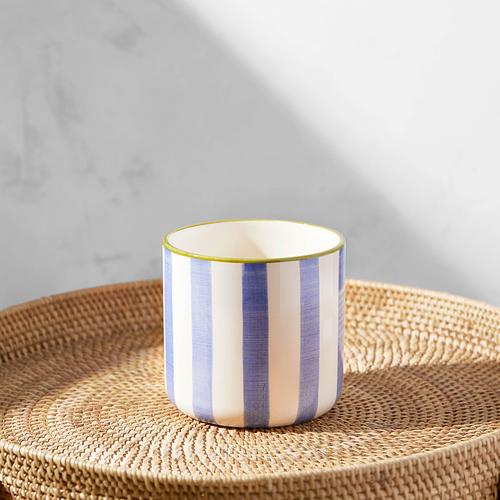 The Citrus Tree & Blue Striped Pot
