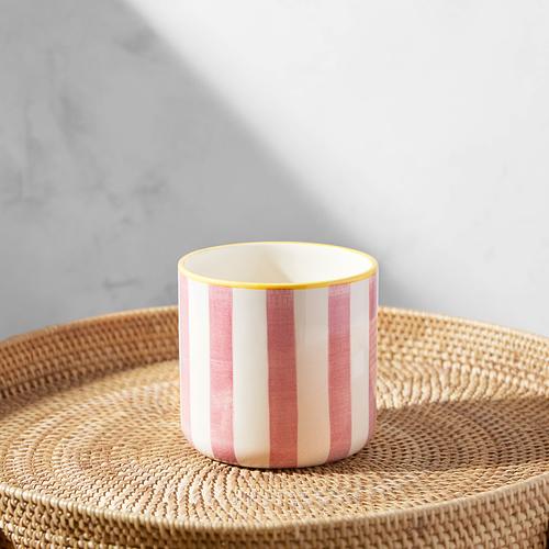 The Marbled Pink Rose & Striped Pot