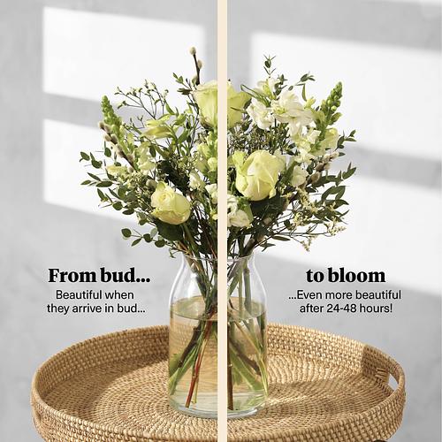 The Timeless Flower Lover's Box