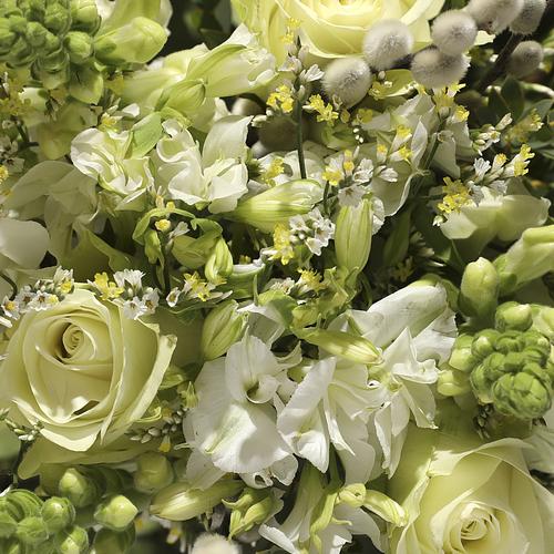 The Timeless Flower Lover's Box