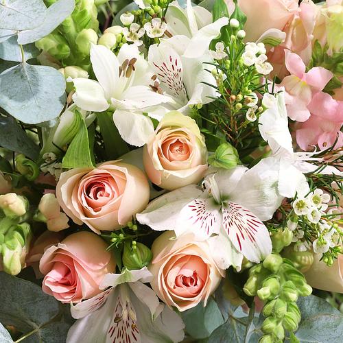 Statement Letterbox Flowers Subscription