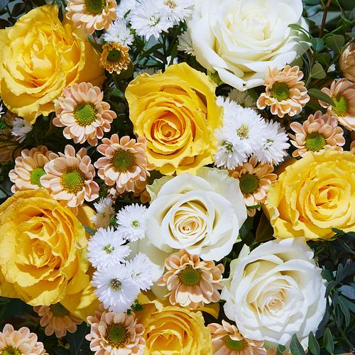 6 Months of Classic Letterbox Flowers