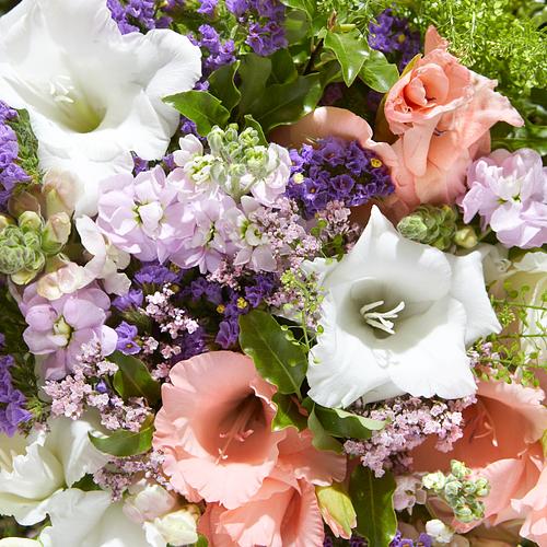 6 Months of Classic Letterbox Flowers 3 6 Months of Classic Letterbox Flowers