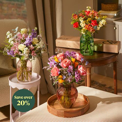 3 Months of Classic Letterbox Flowers