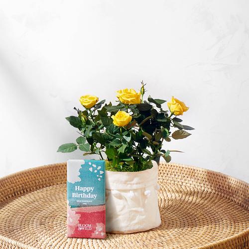 The Letterbox Birthday Rose